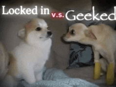 a picture of two dogs with the words locked in vs. geeked