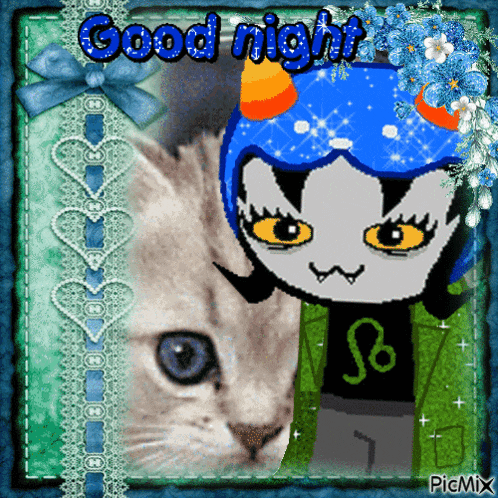 a picture of a cat and a troll with the words good night on it