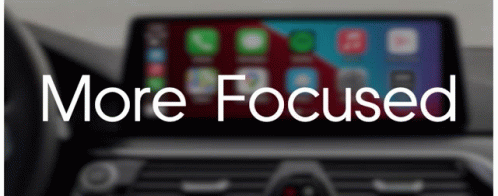 Focus GIF - Focus GIFs