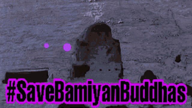 a poster that says #savebamiyanbuddhas with a landscape in the background