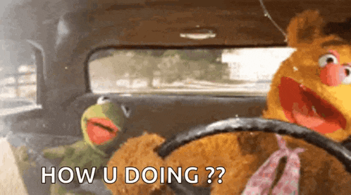 kermit the frog and fozzie bear in a car with the words how u doing on the bottom