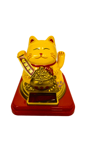 a yellow cat with chinese writing on it 's chest