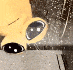 a stuffed animal is being sprayed with water