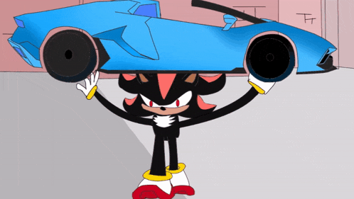 shadow the hedgehog is holding a blue sports car on his head