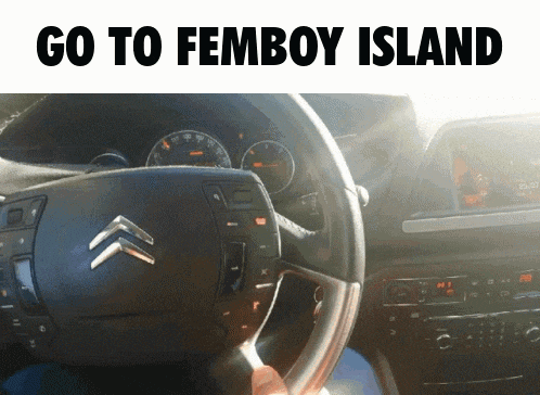 a picture of a car steering wheel with the words go to femboy island