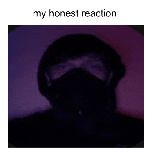 a picture of a person wearing a mask with the words my honest reaction below it