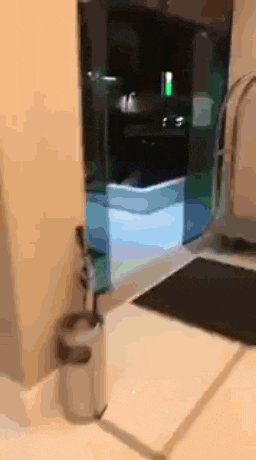 a bathroom with a toilet brush and soap dispenser