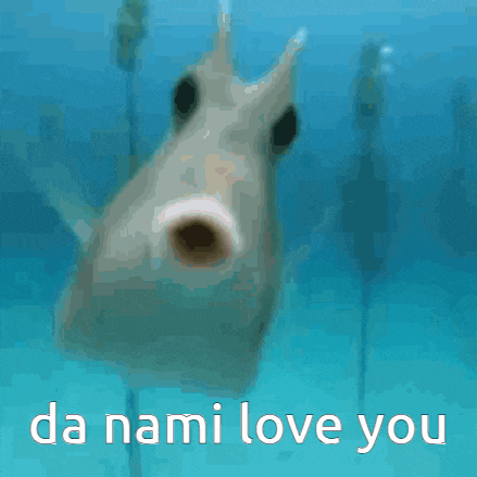 a picture of a fish with the words da nami love you