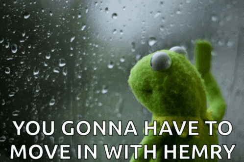 a kermit the frog is looking out a window with the words you gonna have to move in with hemry