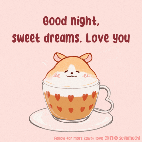 a drawing of a hamster in a cup of coffee with the words " good night sweet dreams love you " below it