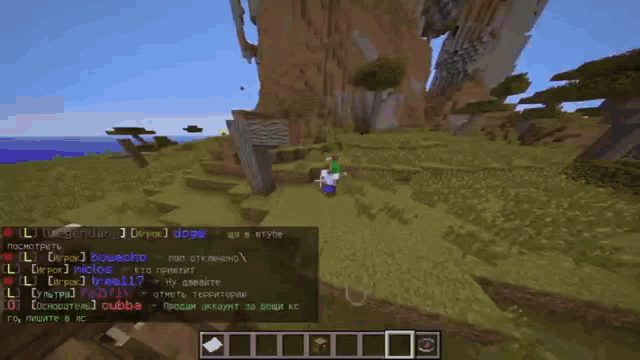 a screenshot of a minecraft game shows a person standing in a grassy field