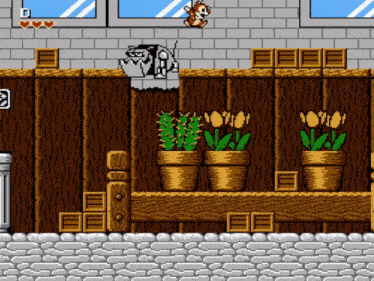 a video game screen shows a chipmunk standing on a ledge