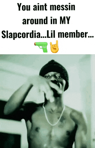 a picture of a shirtless man with the words you aint messin around in my slapcordia ... lil member
