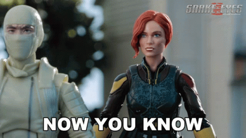Now You Know Storm Shadow GIF - Now You Know Storm Shadow Scarlett GIFs