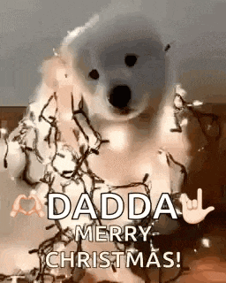 Merry Christmas Dog GIF