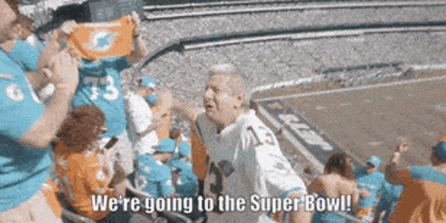 Miami Dolphins Were Going To The Super Bowl GIF