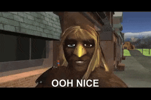 a video game character with a bird on his head and the words ooh nice on the bottom