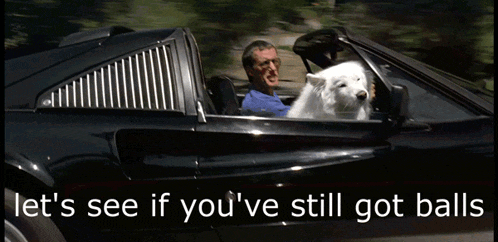 a man is driving a car with a dog in the back seat and the words let 's see if you 've still got balls