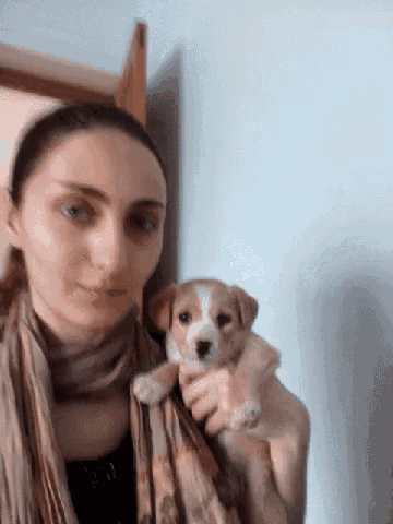 a woman in a scarf is holding a small brown and white puppy