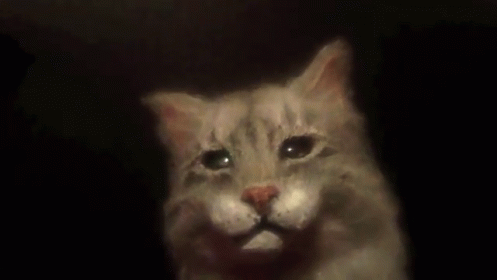 The Cat Puppet Song GIF - Cats Puppets Creepy GIFs