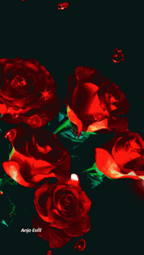 Love Roses GIF - Love Roses Rubies GIFs
