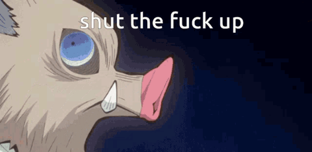 a cartoon of a boar with blue eyes and the words shut the fuck up