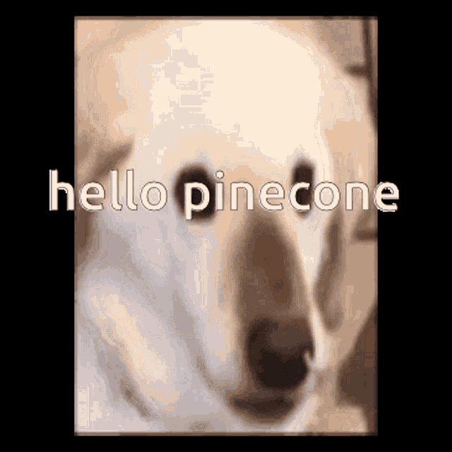 a picture of a dog with the words hello pinecone written on it