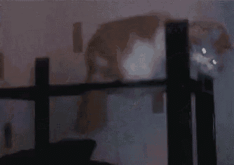 a close up of a person standing on a staircase .