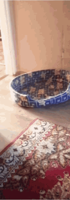 a blue and white dog bed is sitting on a rug on the floor .