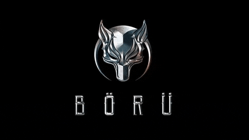 a silver wolf head is on a black background with the word boru .