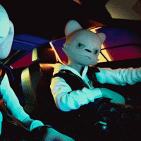 a stuffed animal is driving a car with another stuffed animal in the back seat
