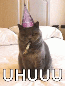 Happy Birthday Cat GIF - Happy Birthday Cat Uhu GIFs