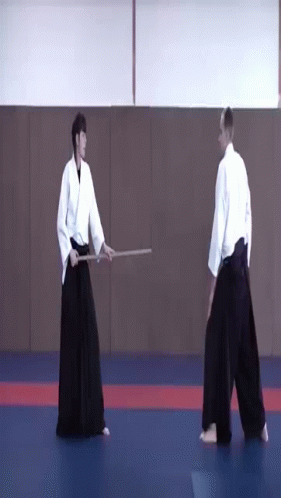 Wow Wow Wow Stop Aikido Ls GIF - Wow Wow Wow Stop Aikido Ls Ls Stop GIFs