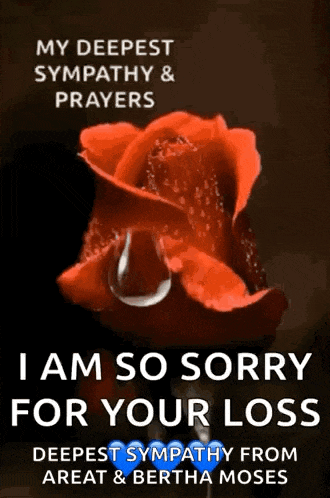 a picture of a red rose with a tear coming out of it .