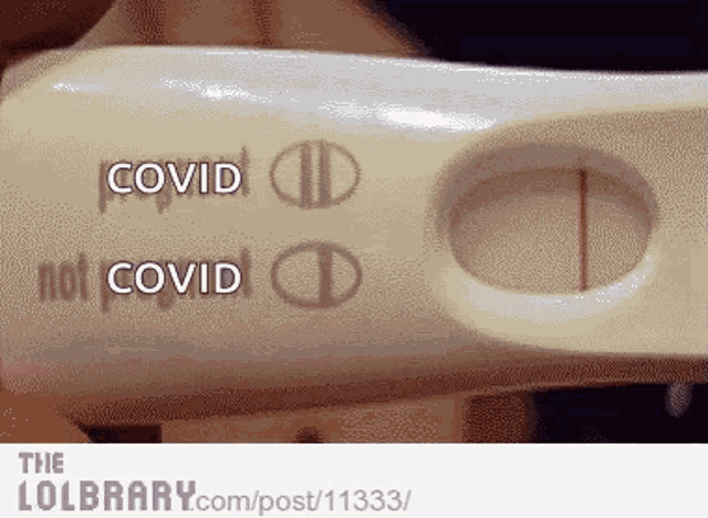 a pregnancy test with the words " covid " and " not covid " on it