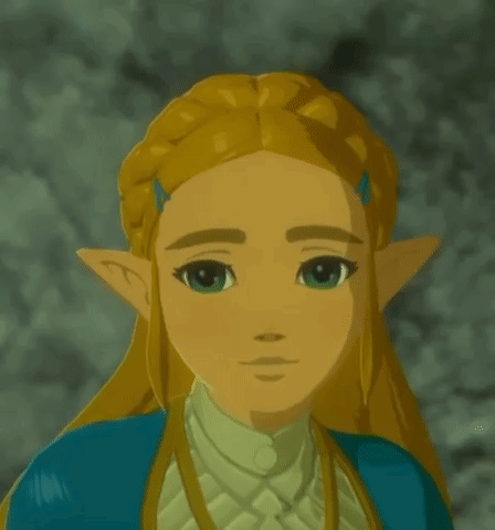 Botw Zelda Smile Botw Zelda Taking Shelter Memory GIF - Botw Zelda Smile Botw Zelda Taking Shelter Memory GIFs