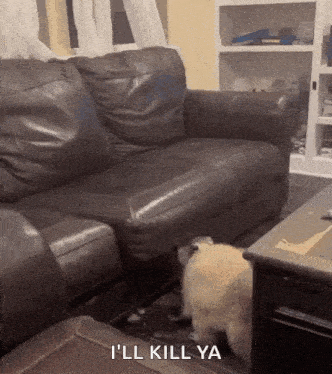a dog is standing next to a couch in a living room with the words `` i 'll kill ya '' .