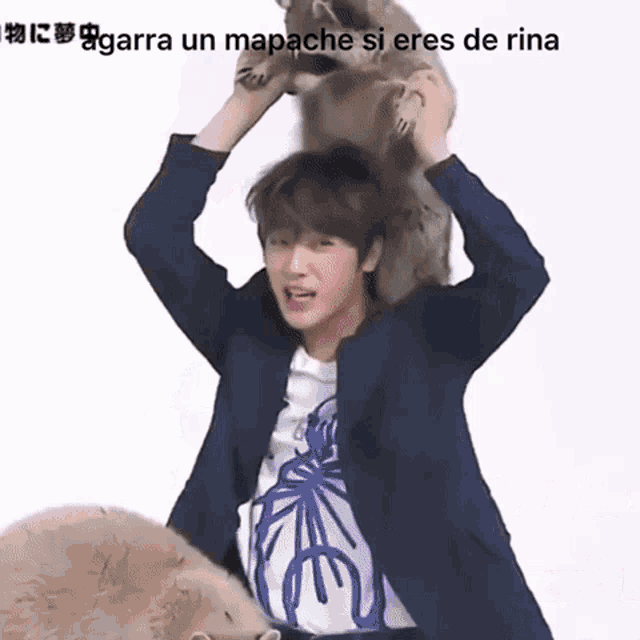 a man in a suit is holding a stuffed raccoon on his head and the caption says agarra un mapache