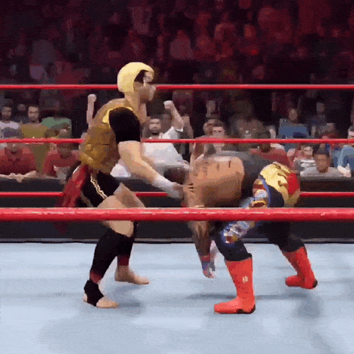 two wrestlers are fighting in a ring with a crowd in the stands