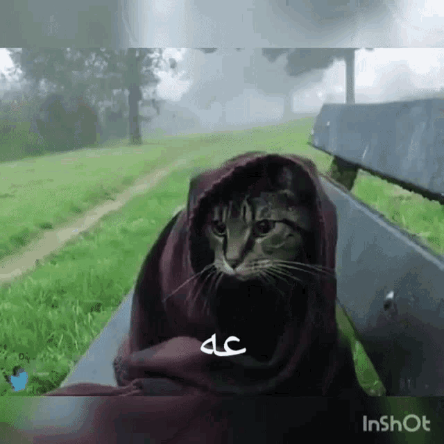 a cat wrapped in a blanket is sitting on a bench