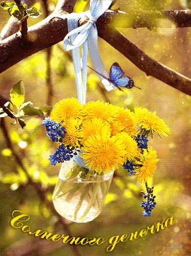 a bouquet of dandelions and blue flowers hangs from a tree branch with a butterfly