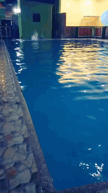 Swimming Bataan GIF - Swimming Bataan GIFs