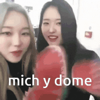 a couple of women standing next to each other with boxing gloves and the words mich y dome written on the bottom .