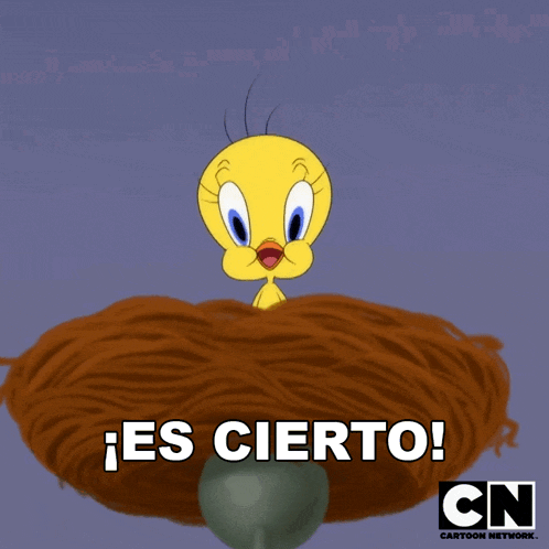 a tweety bird is sitting in a nest with cn cartoon network written on the bottom