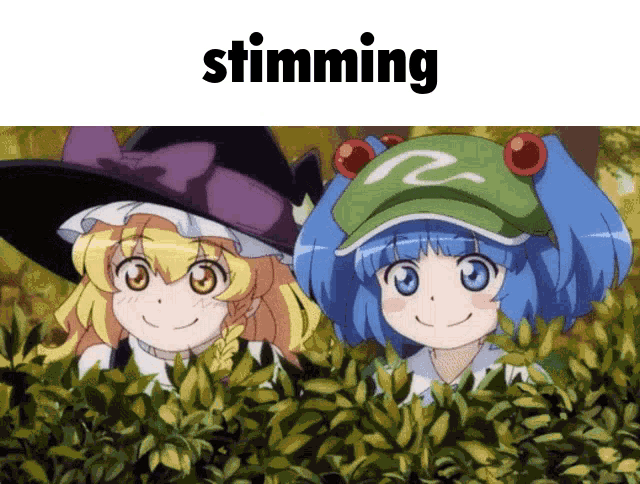 a picture of a frog and a witch with the word stimming above them