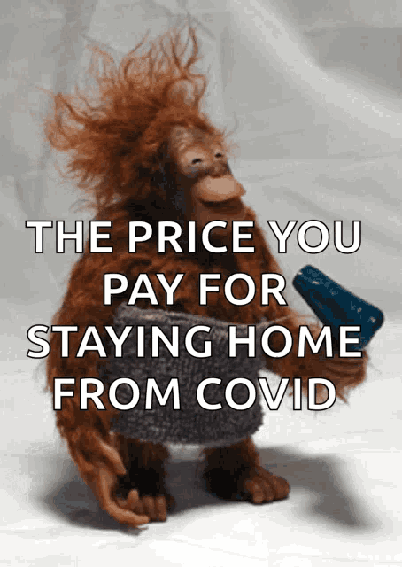 the price you pay for staying home from covid is written on a picture of an orangutan