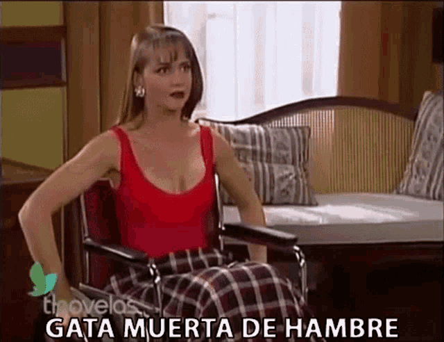 a woman in a red tank top is sitting in a wheelchair with the words gata muerta de hambre below her