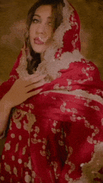 a woman with a nose ring is wearing a red and gold dress