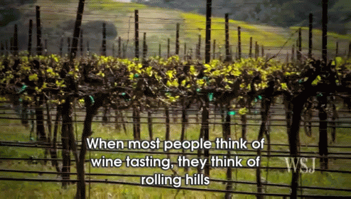 A Visit To A California Wine Ghetto GIF - Wine Drink Alcohol GIFs
