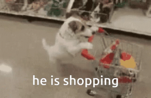 Shopping Dog GIF - Shopping Dog Animal GIFs